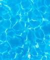 Flachfilz Print Wasser Flachfilz Print Wasser