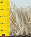 Designer Teppich Elba Farbe 12 creme Designer Teppich Elba Farbe 12 creme