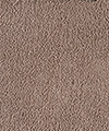 Teppichboden Hochflor Gent 2026 Farbe 420 dunkelbeige