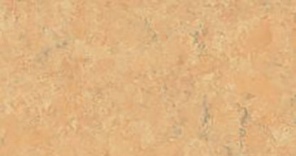 Linoleum Linoleum