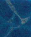 Teppichboden Wasser Farbe 333 hellblau Teppichboden Wasser Farbe 333 hellblau